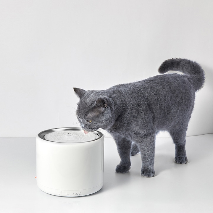 Actual product image Petkit Eversweet drinking fountain, 1.35l (1.35 l)