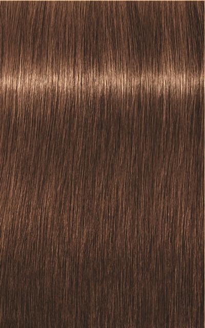 Image du produit Schwarzkopf Professional Igora Royal Absolutes Age Blend (6-60 Chocolat blond foncé naturel)