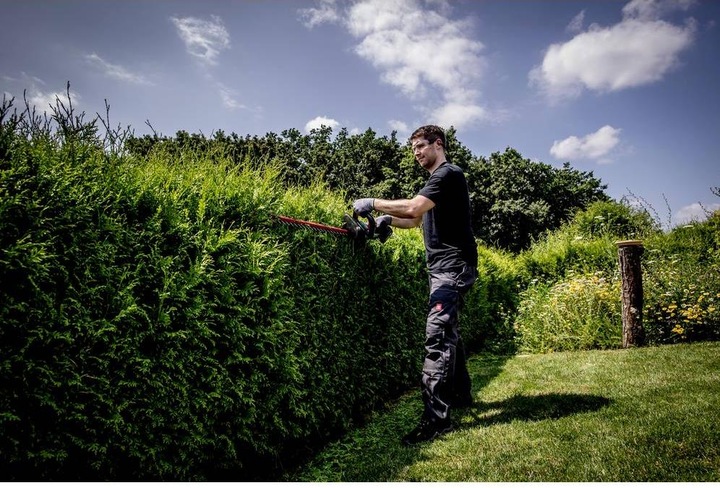 Image du produit Metabo HS 18 LTX 65 (Taille-haies sans fil)