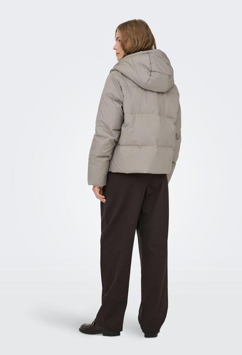 Image du produit Only ONLALICE Veste Veste (M)