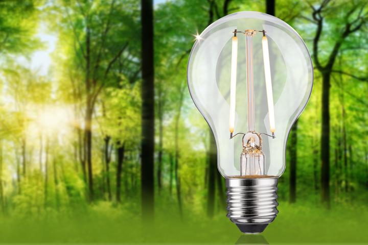 Produktbild Paulmann AGL Eco-Line (E27, 2.50 W, 470 lm, 1 x, B)