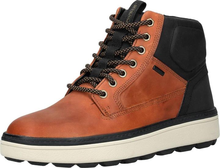 Nero C0275, Lt Marrone