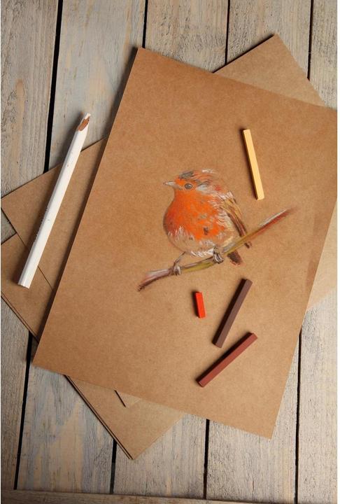 Image du produit Clairefontaine Techniques sèches (160 g/m², 1 x)