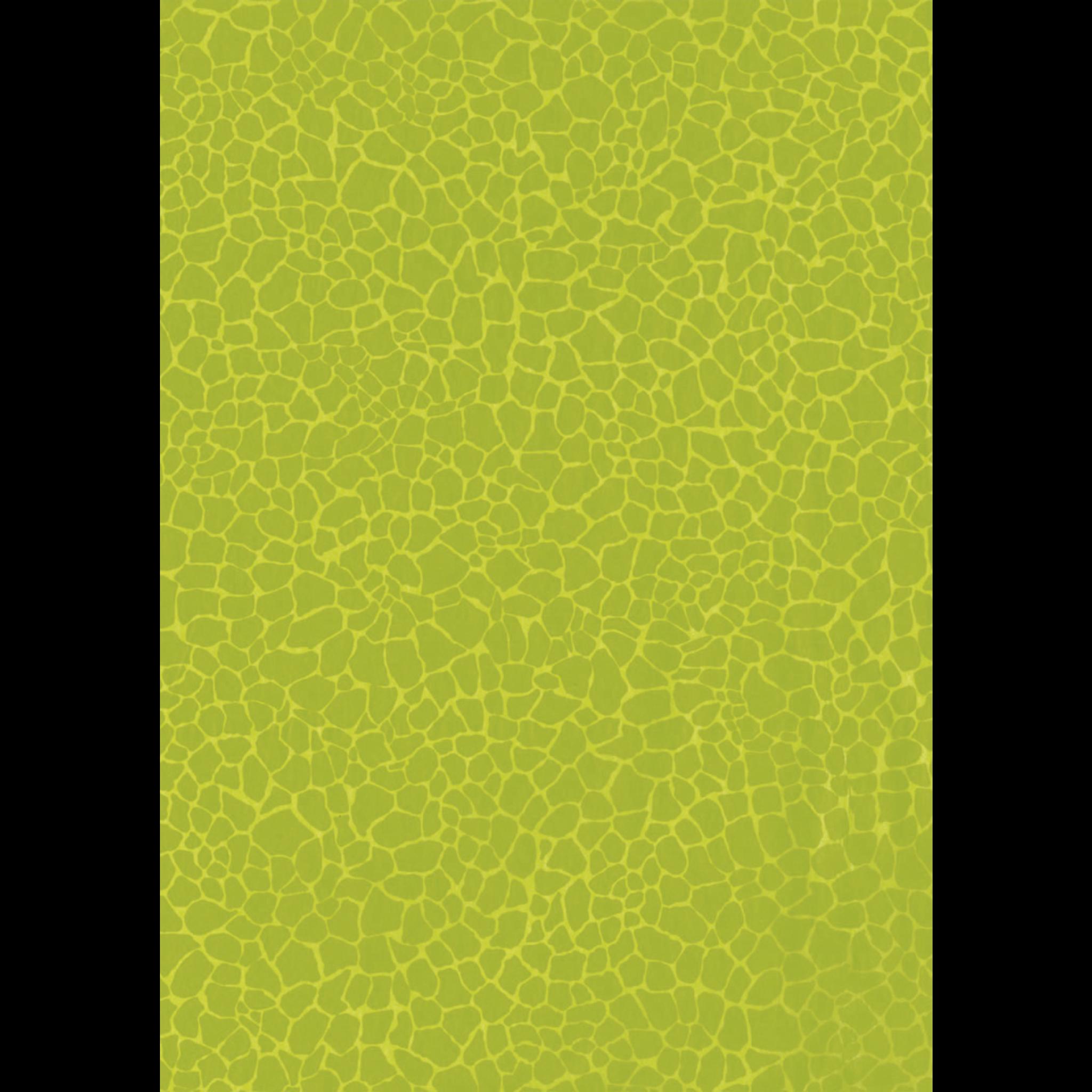 Décopatch Papiere (20 x 40 cm, 1100 x), Fotopapier, Grün