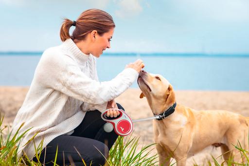 Produktbild Flexi New Comfort Gurt (S, Hund, Allgemein)