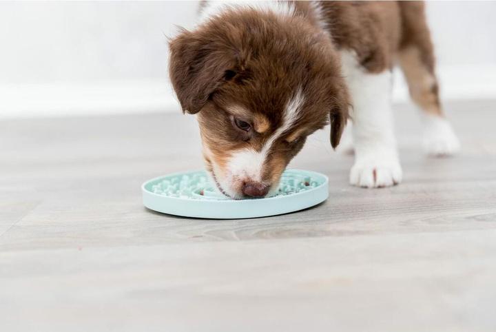 Produktbild Trixie Junior Schleckplatte (Snackbeutel Hund)
