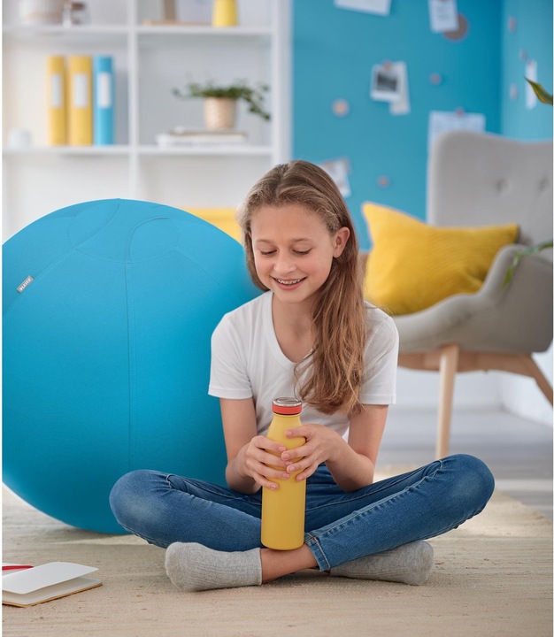 Actual product image Leitz Ergo Cosy Active sitting ball (65 cm)