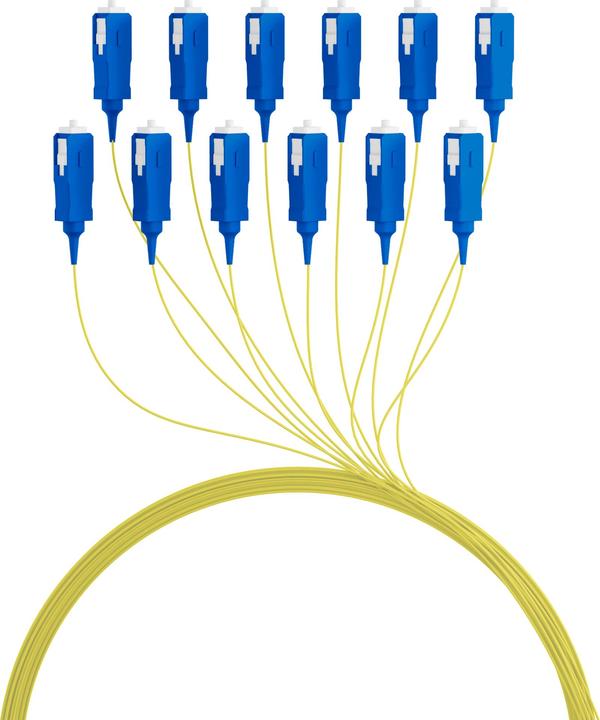 Image du produit EFB Elektronik O1023.2 2m 12x SC jaune Câble à fibre optique (CAT6, 2 m)