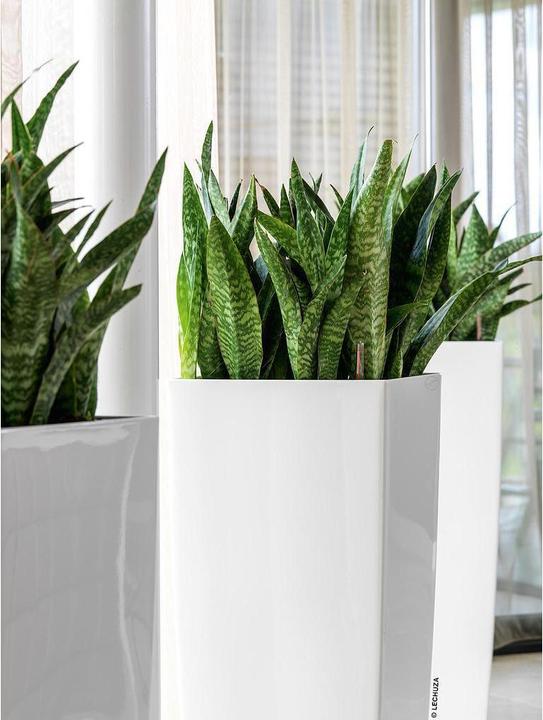 Produktbild Lechuza Cubico (22 x 41 cm)