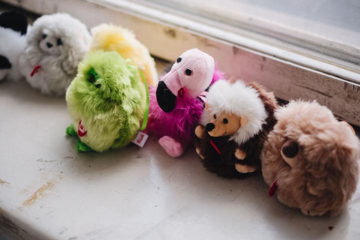 Image du produit Trudi Remorques (11 cm)