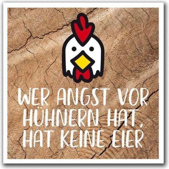 Immagine prodotto Familie von Quast Magnete - paura dei polli (1 x)