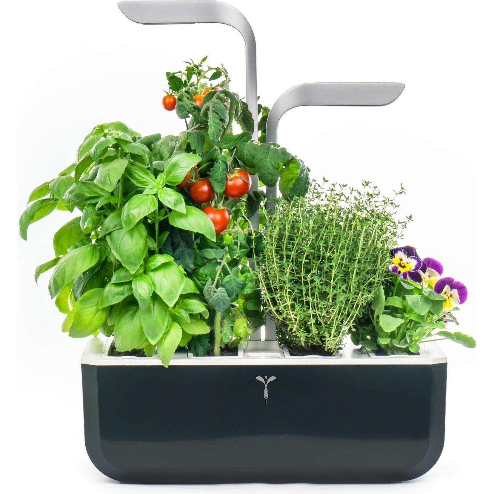 Véritable, Blumentopf, VERITABLE SMART Indoor Garten schwarz inkl 4 Packs (18.50 cm)