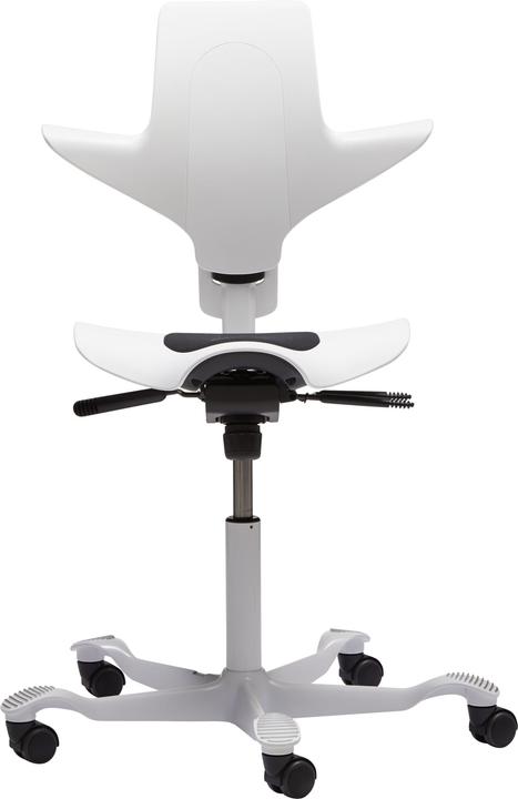 Actual product image HAG Capisco Puls 8010