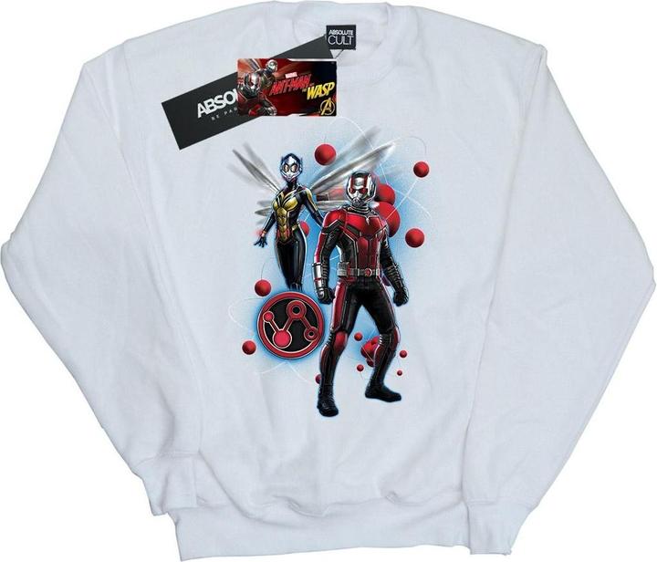 Produktbild Jungen AntMan Und Die Wespe Partikel Pose Sweatshirt (152, 158)