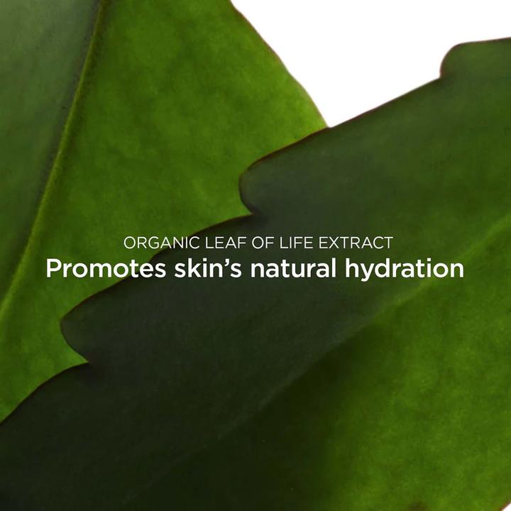 Produktbild Clarins Skin - Frisches Peeling (Reinigungspeeling, 50 ml)