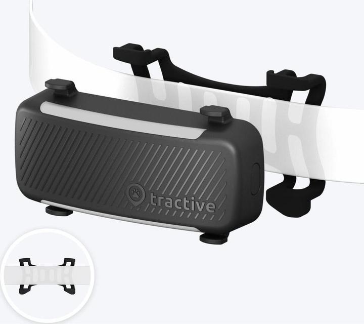 Immagine prodotto Tractive GPS Tracker Dog 6 (Cane, Passeggiare)