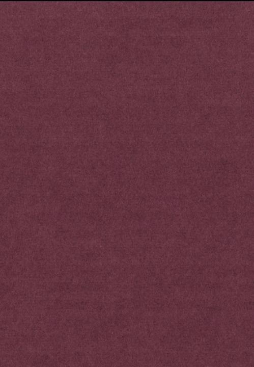 Produktbild Fahles Feuer (Deutsch, Dieter E. Zimmer, Uwe Friesel, Vladimir Nabokov, 2008)