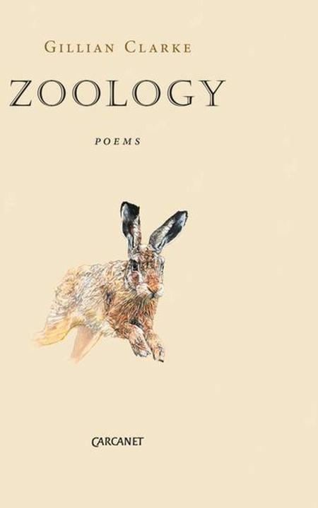 Produktbild Zoology (Englisch)