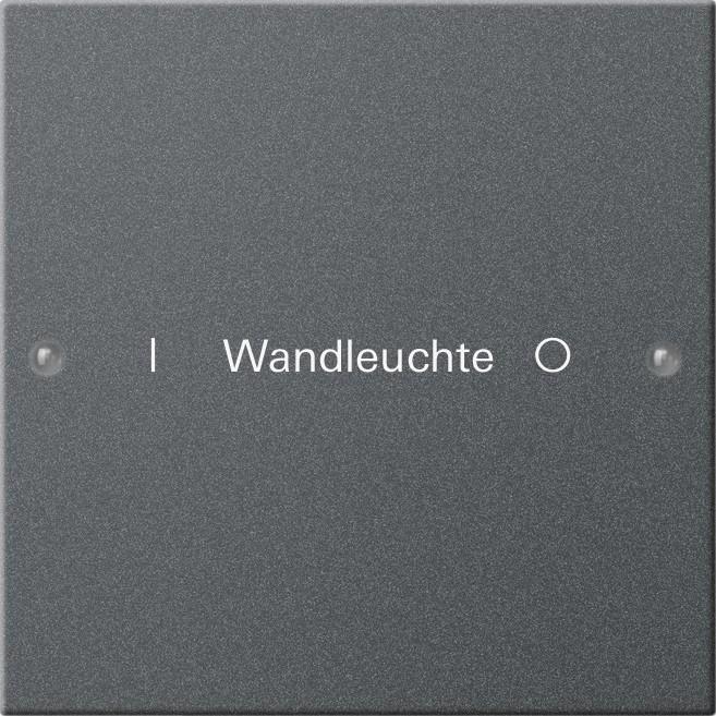 Actual product image Gira Rocker set 1f ins. System 55 220128