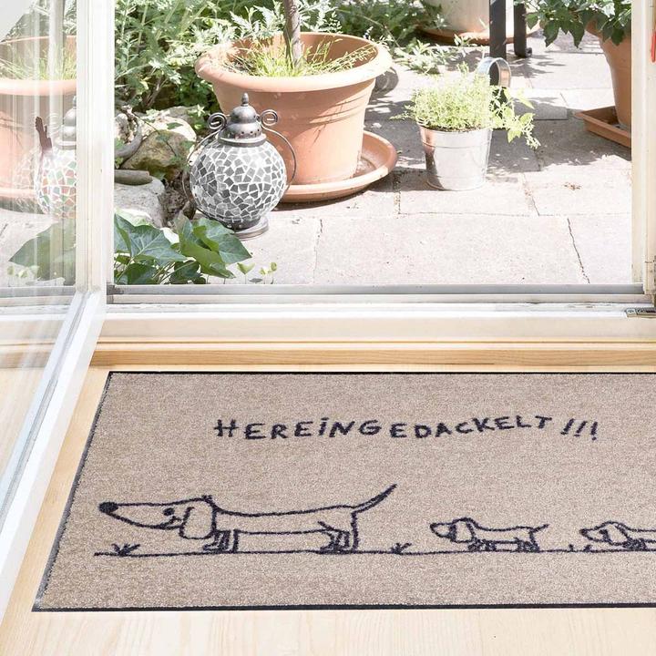 Immagine prodotto Salonloewe Quiingedackelt Famiglia di bassotti 50x75 (50 x 75 cm)