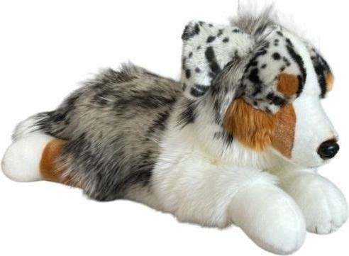 Dubi Australischer Schäferhund liegend, 61 cm (61 cm)