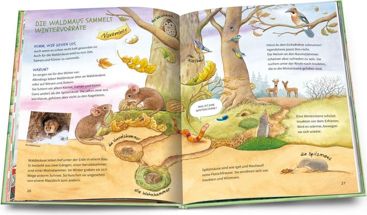 Produktbild Bilderbuch Tiere und Pflanzen (Deutsch, Friederun Reichenstetter, Hans-Günther Döring, 2024)