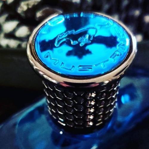 Produktbild Estée Lauder Mustang Blue by (Eau de Toilette, 100 ml)