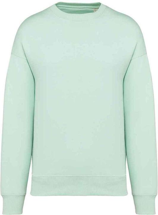 Actual product image Native Spirit Sweatshirt Oversized (XS)