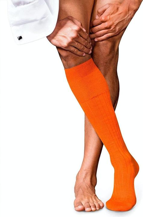 Produktbild Falke No. 2 KH (45 - 46)