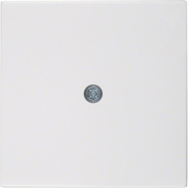 Actual product image Berker Central piece