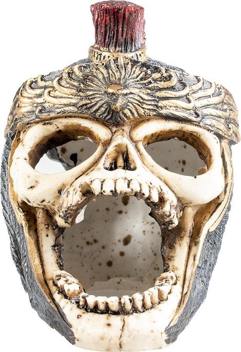 Actual product image EBI Aqua Della Skull novel (Embellishment, other items)