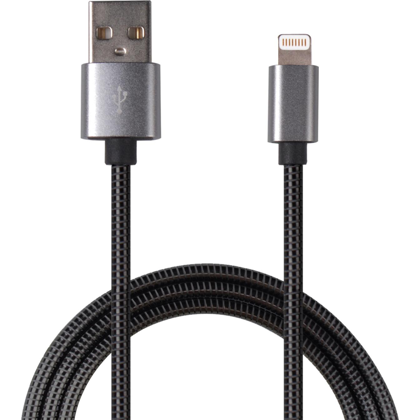 2GO 795810 USB Kabel USB B Lightning (1 m, USB 1.0), USB Kabel