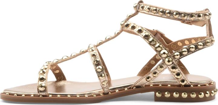 Immagine prodotto Ash PRECIOUS-37 (37)