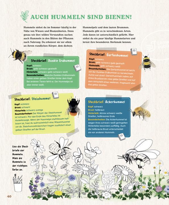 Produktbild Bienen (Deutsch, Dr. Johanna Prinz, Johanna Prinz, 2024)