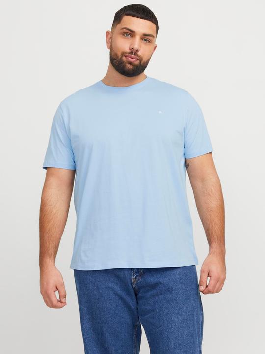 Actual product image Jack & Jones Jjepaulos Tee Ss Crew Neck Noos Pls (3XL)