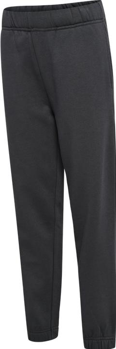 Actual product image hummel hmlALVIN PANTS (110)