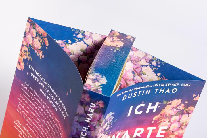 Produktbild Ich warte auf dich, Haru (Deutsch, Dustin Thao, 2024)