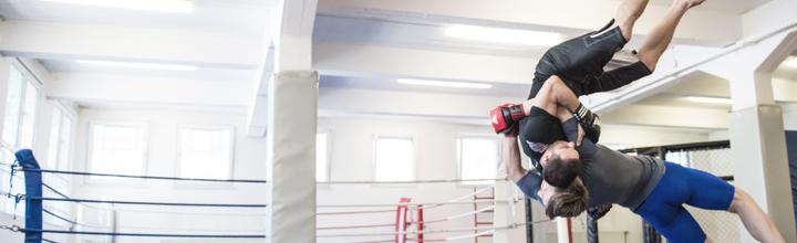 Immagine prodotto adidas Allenamento al Grappling (L)