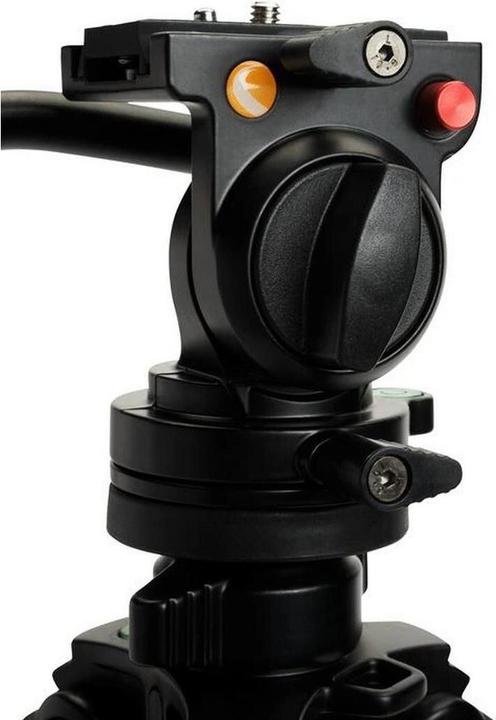 Immagine prodotto Celestron Scaffale Tripod Premium (Metallo)