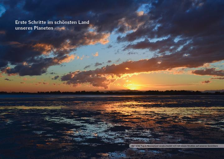 Actual product image School out, New Zealand calls (German, Philip Raillon, 2017)