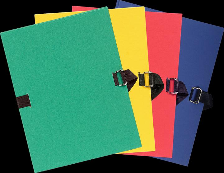 Actual product image Exacompta Folders with stretchable spine (A4, 250 x)