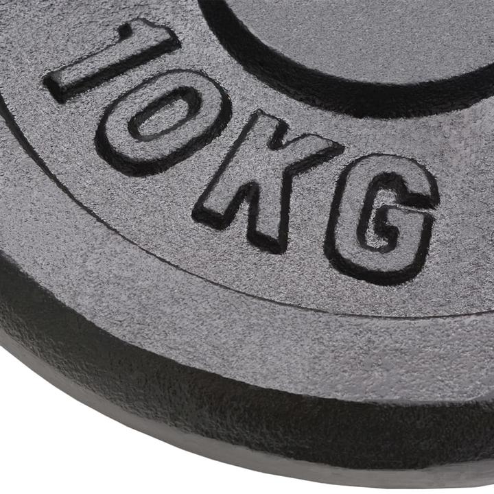 Immagine prodotto vidaXL Hantelscheibe (2 x 10 kg)