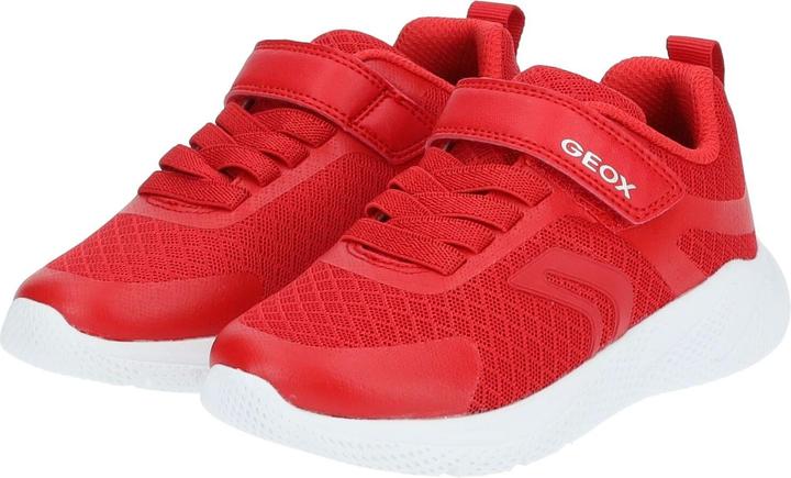Actual product image Geox Sneaker (34)