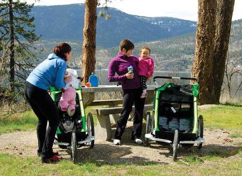 Actual product image Thule Chariot Cheetah 2