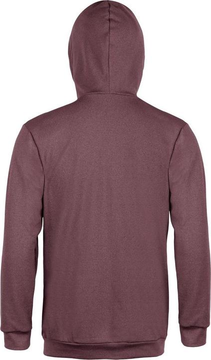 Actual product image Directalpine Sweatshirt Hoodie Tech 1.0 (L)