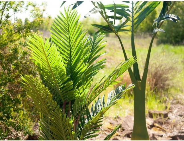 Productafbeelding Europalms Kentia palm, kunstplant, 140cm (140 cm)