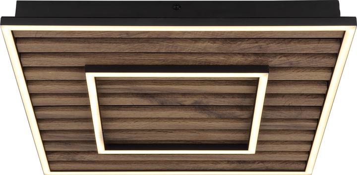 Actual product image Globo Woody (3820 lm)