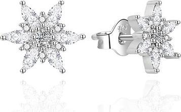 Produktbild Agato - Charming silver earrings Snowflakes AGT-E003PW