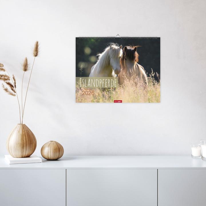Produktbild Islandpferde Kalender 2026 (44 x 34 cm)