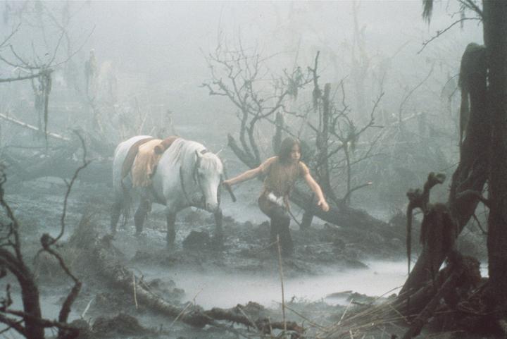 Immagine prodotto La storia infinita (Blu-ray, 1984, Tedesco, Inglese)